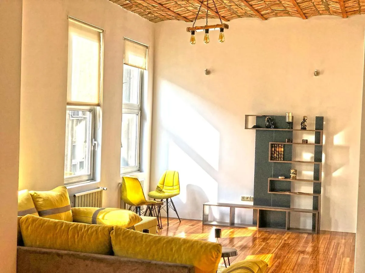 Galata Spacious Home Istanbul Turkey